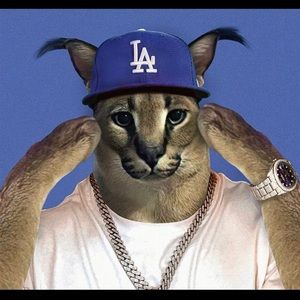 Meet your Posher, Noah